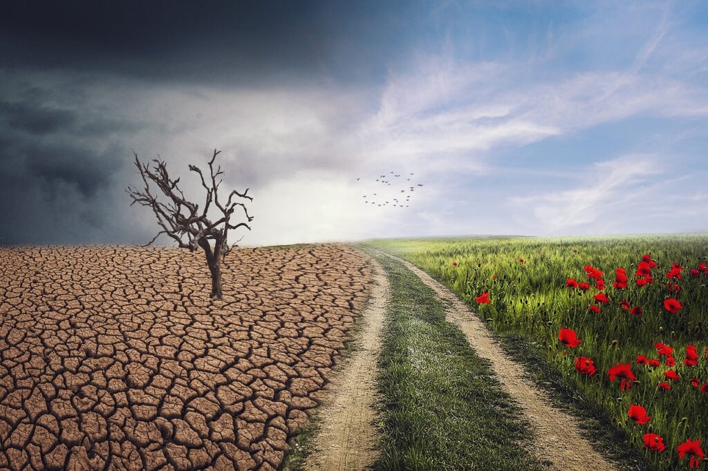 Scienza e società civile per il clima: torna la collaborazione tra Cmcc e Conversazioni sul futuro