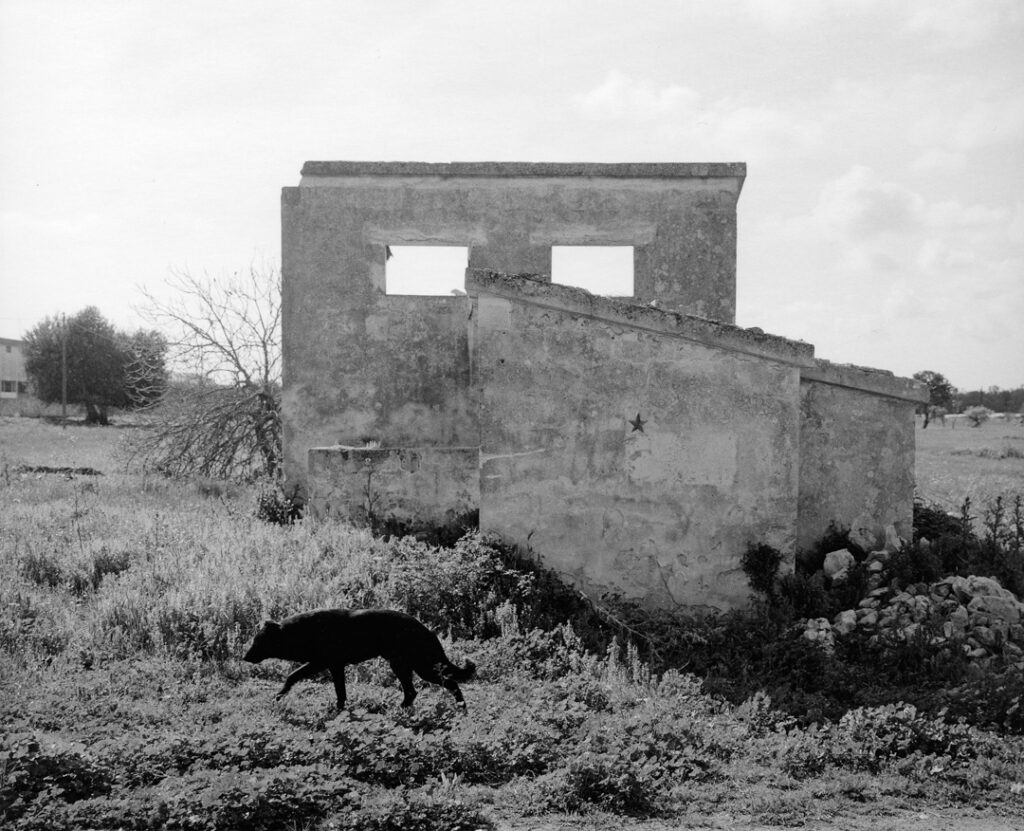 Arneo: un’indagine sociologica e fotografica a Lecce